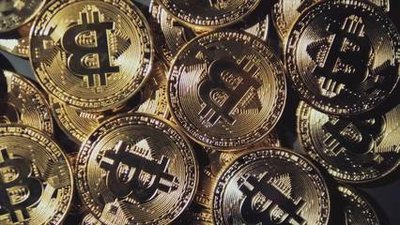 怎么注册派币app 派币怎么注册教程