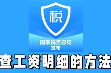 个税APP查工资明细的方法