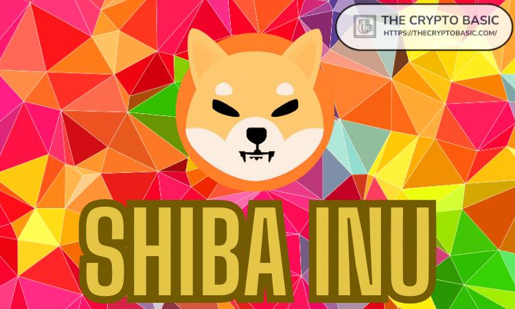 Shiba Inu 宣布首次选举临时主席和 DAO 理事会