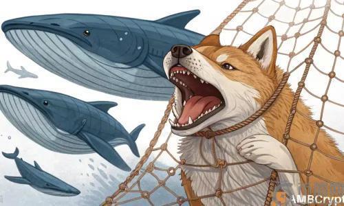 柴犬币（SHIB）能否在9月迎来突破性上涨？巨鲸囤积引发市场关注