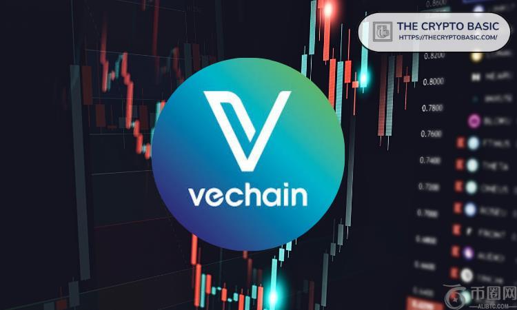 Van de Poppe 谈 VeChain：“大突破即将来临，在此积累绝对在我的关注范围内”