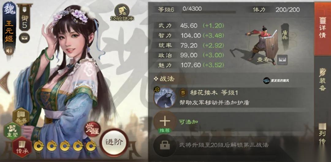 王元姬阵容搭配与战力深度解析