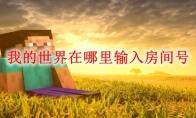 我的世界在哪里输入房间号