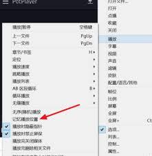 PotPlayer如何设置自动记忆播放位置