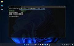 Windows11电脑硬盘类型的查看方法