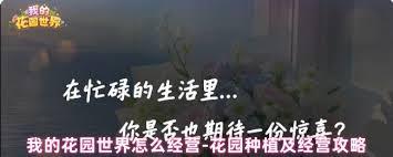 如何经营我的花园世界