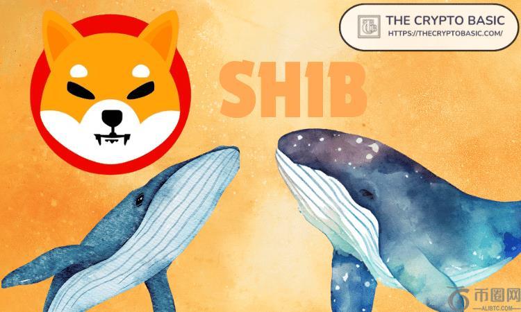 巨鲸在大规模转移 SHIB 后仍持有 124,449,000,000 个柴犬小时