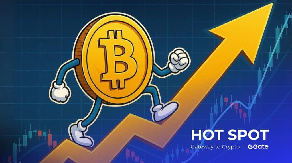 BTC USDT 当前价格多少？9 月 15 日最新行情分析