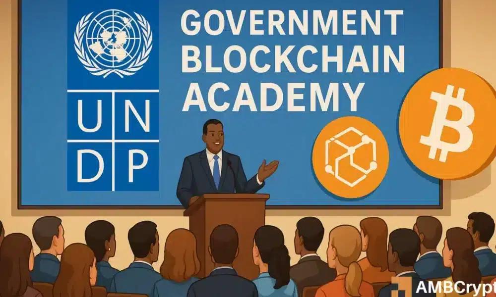 联合国开发计划署为各国政府掌握区块链技术奠定了基础——但为什么呢？