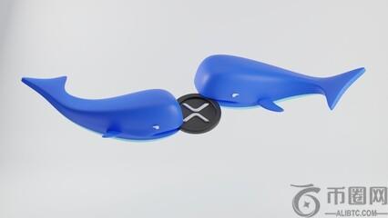 两周内暴跌 4.8 亿美元？XRP 鲸鱼走势或将揭示价格下一步走向