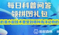 人类的潜水艇技术曾受到哪种海洋动物的启发