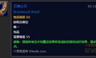 《魔兽世界》怀旧服前期神器介绍