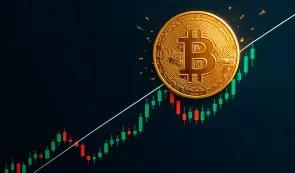 超过 180 家上市公司持有比特币，且数量还将上升