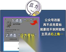 金铲铲s15更新了哪些内容