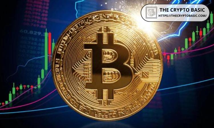 Tether 首席执行官表示，率先采用比特币的人将获得巨大利益
