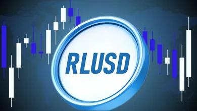 Ripple 总裁称稳定币似乎受到 FOMO 的驱动