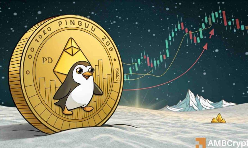 聪明的投资者喜欢胖乎乎的企鹅——这是企鹅反弹的迹象吗