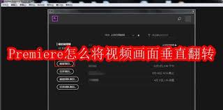 premiere怎么翻转视频画面