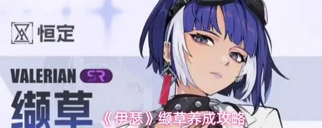 伊瑟 缬草养成攻略