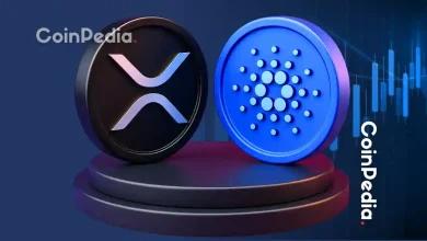 XRP 和 ADA 能否暴涨 5 倍 全球支付应用 Digitap 上线，分析师看好其 50 倍收益
