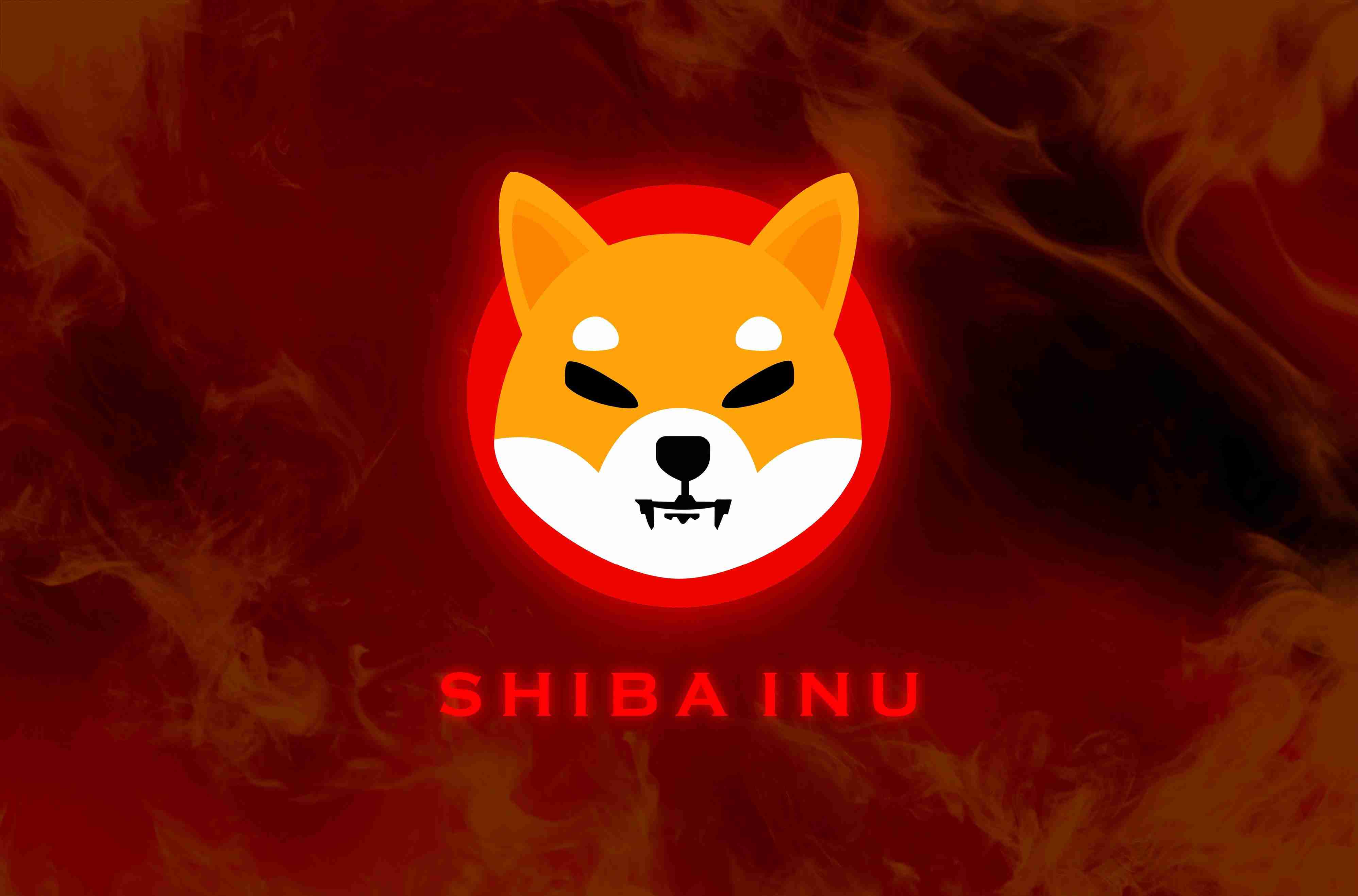 Coinbase 用户做出惊人举动：在一次交易中销毁 1.4 亿枚 Shiba Inu 代币