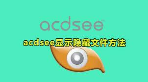 ACDSee如何显示隐藏文件