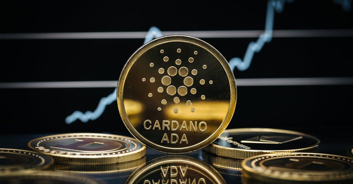 尽管价格暴跌，Cardano 仍使投资者资金几乎翻倍