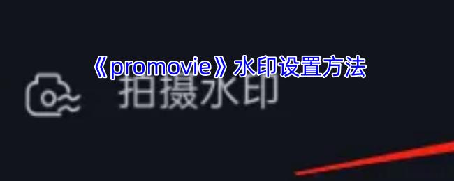 promovie 水印设置方法