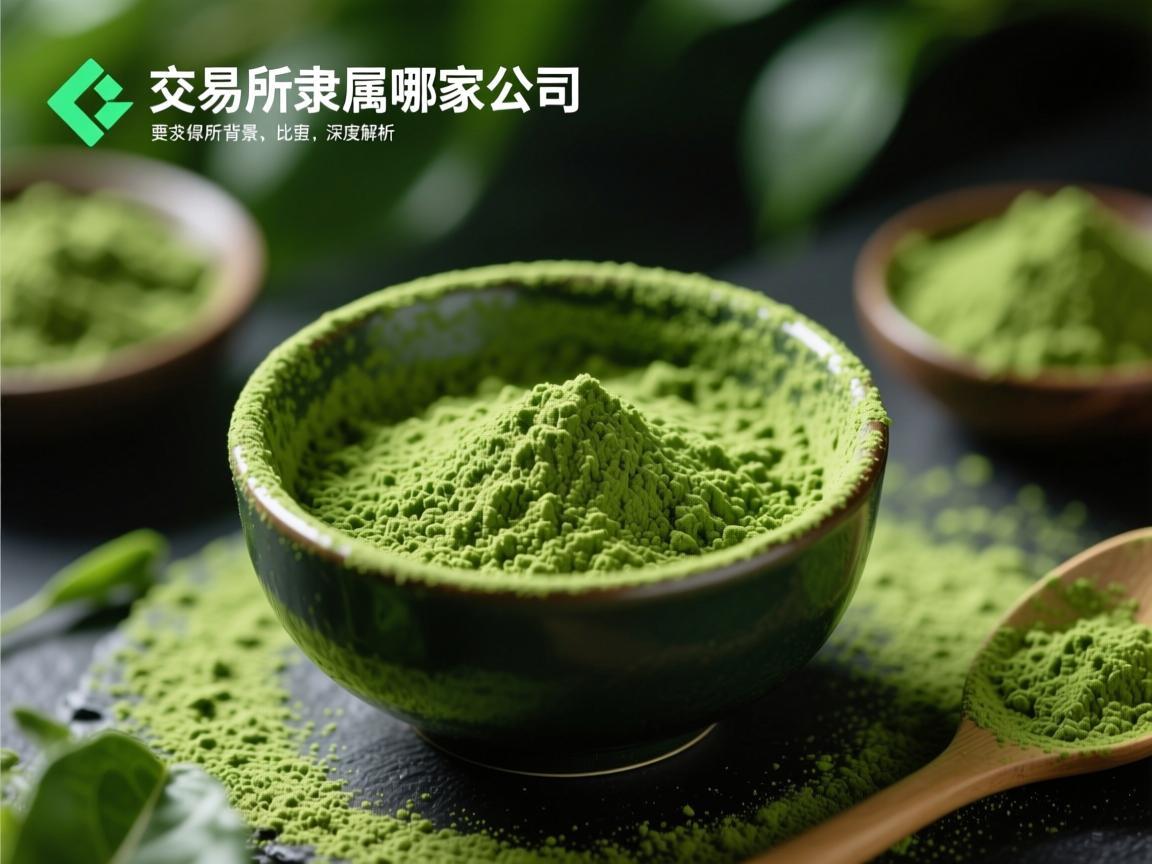 抹茶交易所隶属哪家公司 深度解析其背景与运营主体