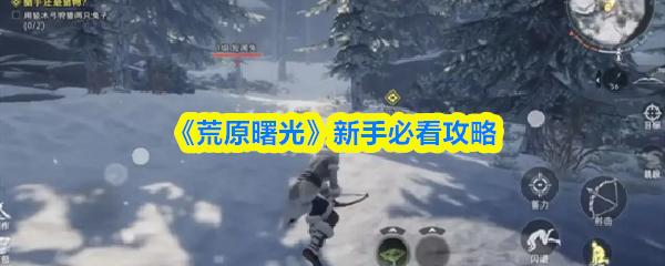 荒原曙光 新手必看攻略