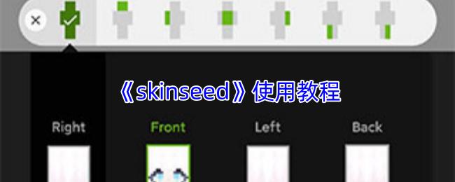 skinseed 使用教程