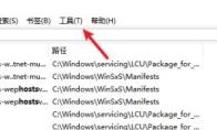 Everything怎么设置运行历史保存天数