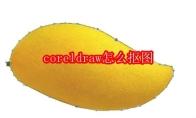 coreldraw怎么抠图