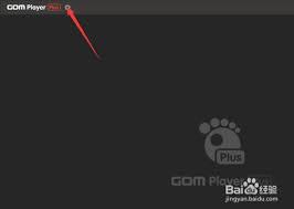 GOMPlayer播放时怎么设置显示鼠标