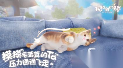 一个屋子里养猫的游戏盘点 流行的养猫游戏分享2025
