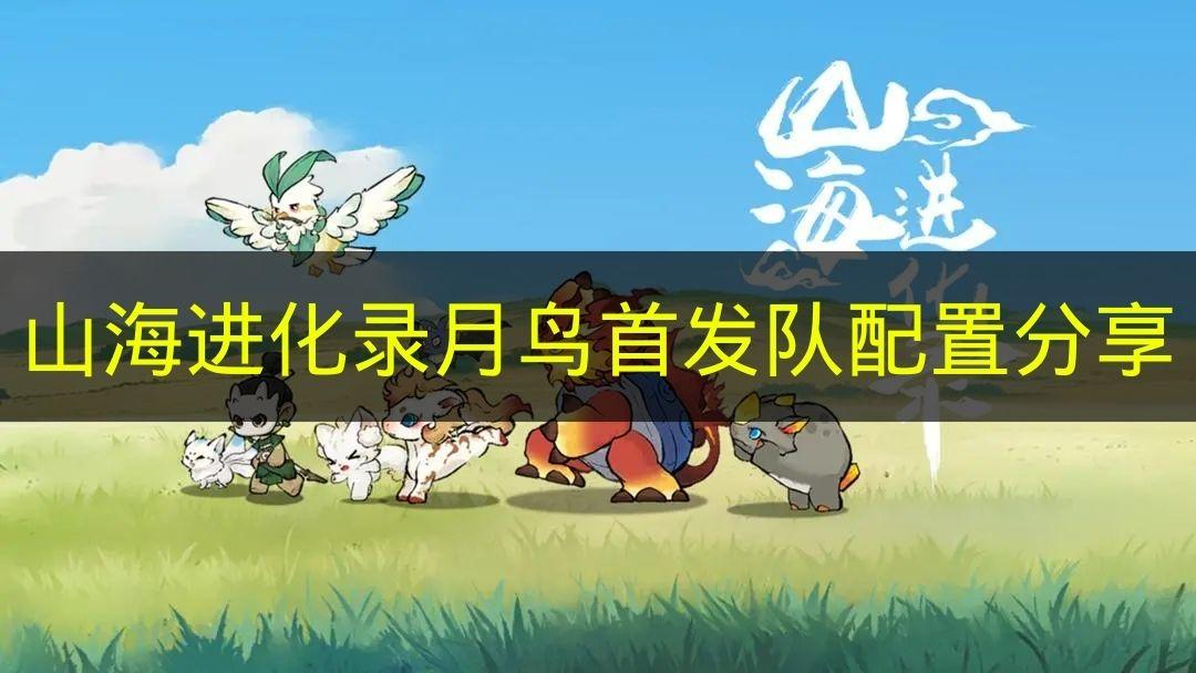 山海进化录 月鸟首发队配置分享