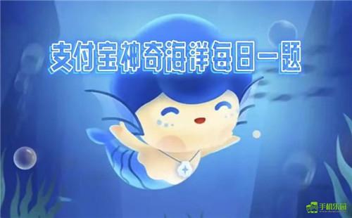 蚂蚁森林神奇海洋2025年12月14日答案