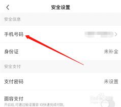 爱奇艺极速版怎么修改手机号