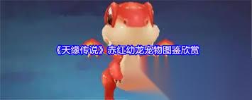 天缘传说赤红幼龙怎么样
