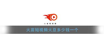火苗短视频火豆价格是多少