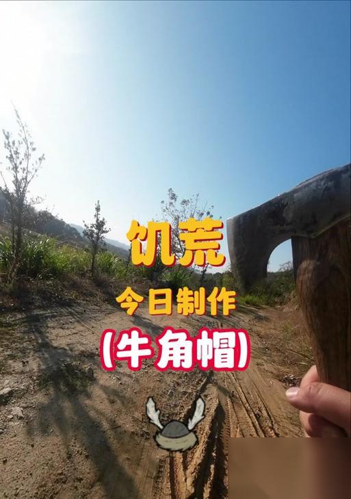 饥荒养蜂人的帽子——生存游戏中的经验推荐 采集蜜蜂 制作帽子 提升生存能力