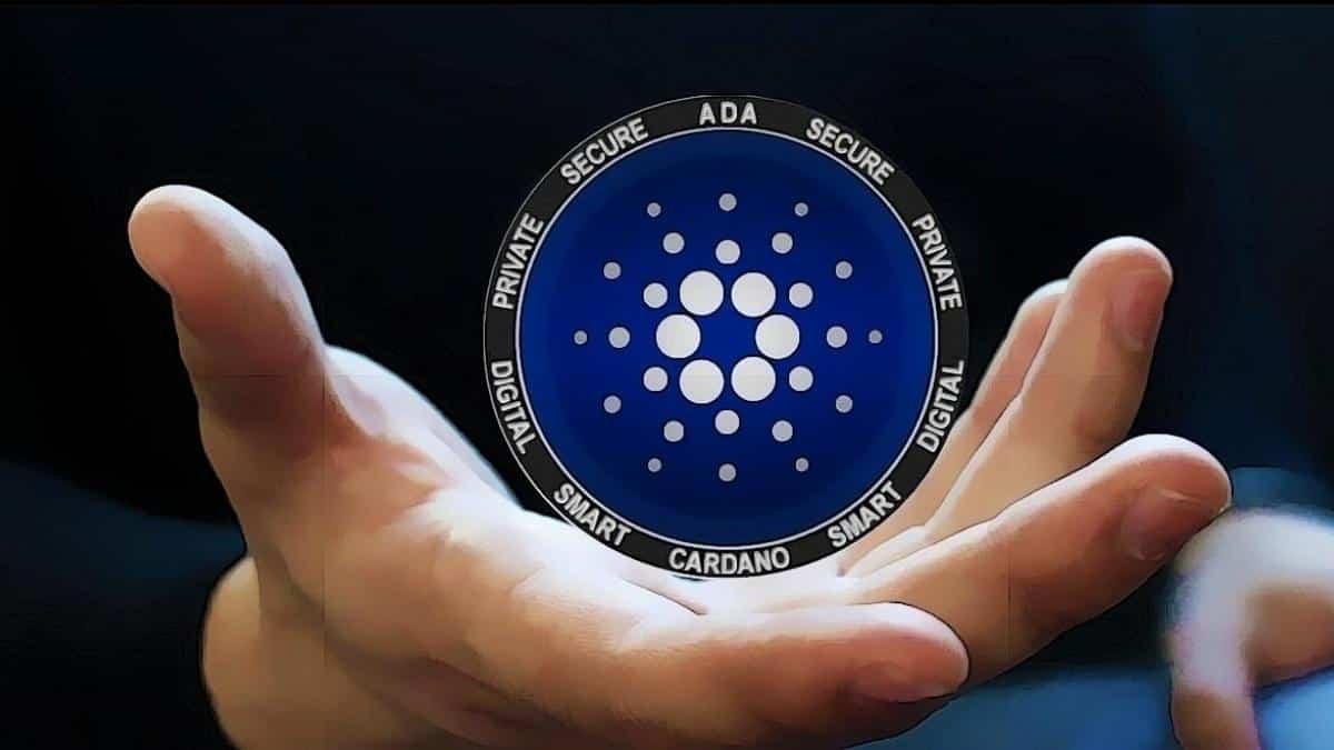 卡尔达诺在百强加密货币中跌幅最大