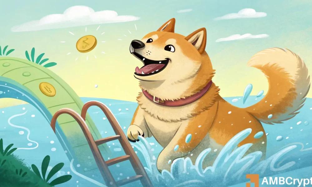 狗狗币收复12月失地——以下是其可能突破的原因