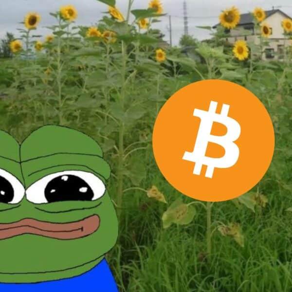比特币价格突破6周下跌趋势——这波反弹是真的吗