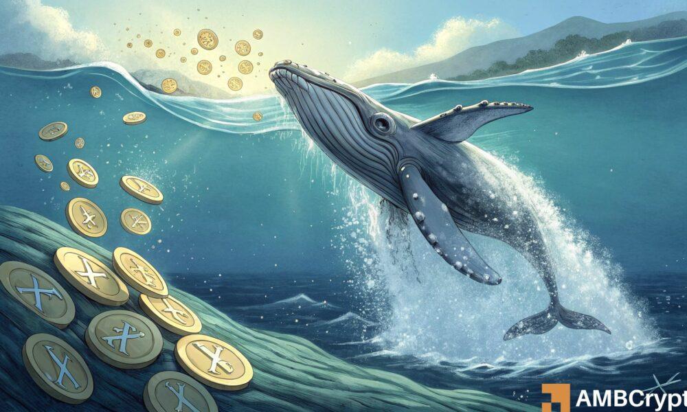 XRP 价格维持在 2.30 美元，鲸鱼交易活跃度激增：牛市行情即将延续