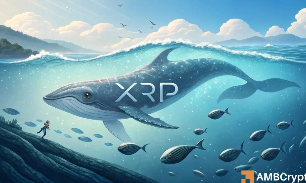 尽管现货ETF出现首次资金流出，XRP巨鲸行为仍显示出市场信心——详情