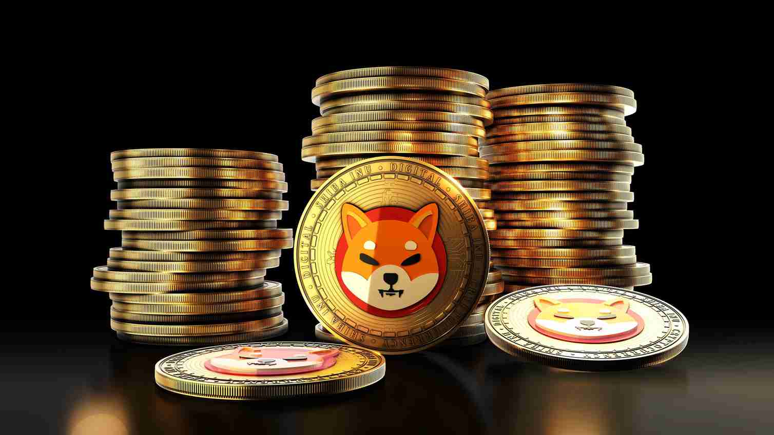 柴犬价格悬而未决——团队“保持坚强”的呼吁暗示着未来走向
