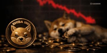 柴犬价格下跌超过 60%——你应该逢低卖出、持有还是买入 真正的权衡取舍在这里。