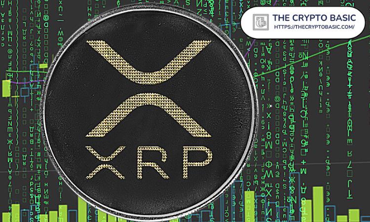XRP 比你银行账户里的钱还多，“你真是个天才”