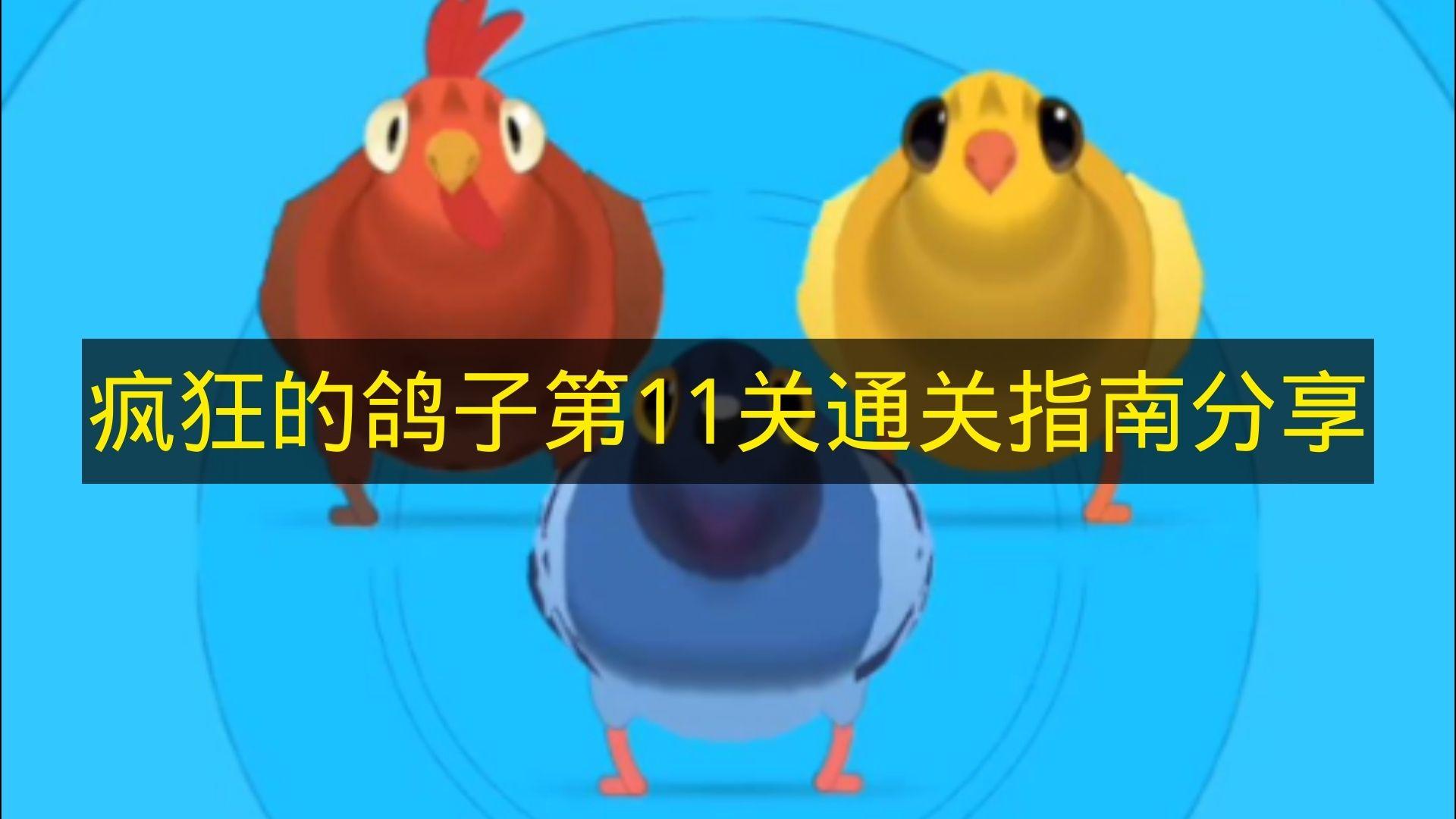 疯狂的鸽子 第11关通关指南分享